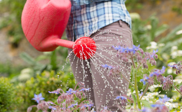 Dê preferência ao regador na hora de molhar suas plantas (Fotos: ThinkStock)