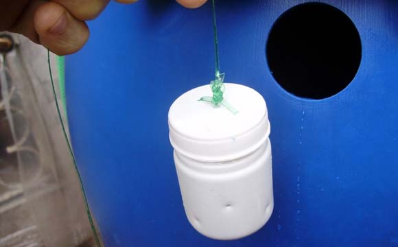 Água pode ser tratada com claro dentro de um pequeno pote, como este da foto