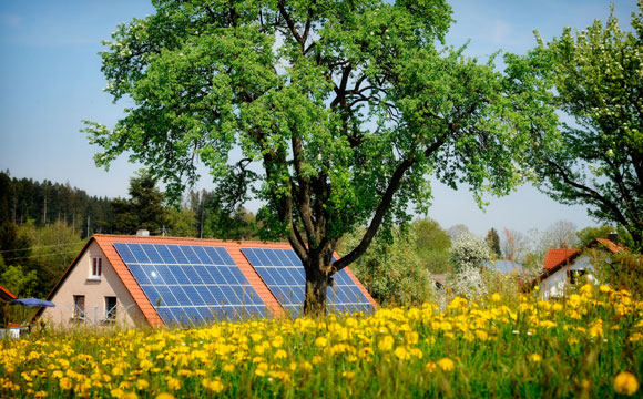 É possível ter uma casa com práticas sustentáveis para ajudar o meio ambiente e gerar economia (Fotos: Shutterstock)