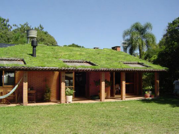 Telhado verde permite a criação de horta orgânica no próprio telhado com hortaliças, suculentas, grama amendoim, rabo de gato, entre outras