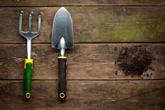 ferramentas de jardim garfo largo