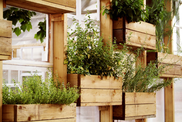 Mini horta suspensa em caixotes de madeira (Foto: Shutterstock)