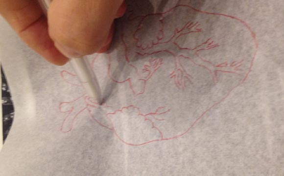 Através do papel carbono o risco é transferido, mas você pode desenhar diretamente no prato (Foto: Glaucia BarrosBlog do Elo7)