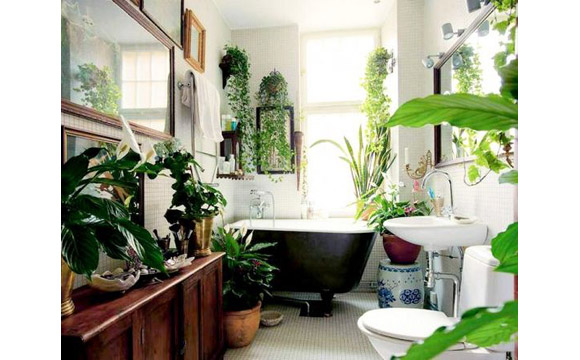banheiro decorado com plantas