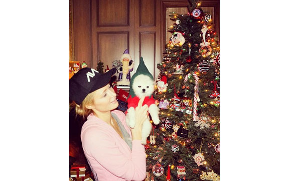 Paris Hilton fez uma árvore de Natal e aproveitou para colocar seu cachorro no estilo natalino