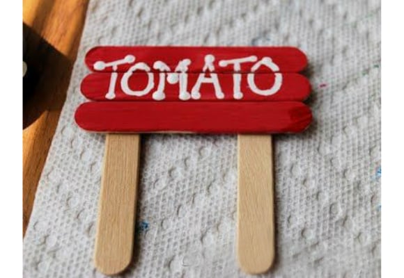 Dê nome aos alimentos de sua horta com os palitinhos