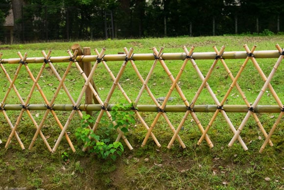 dividir terreno com cerca de bambu