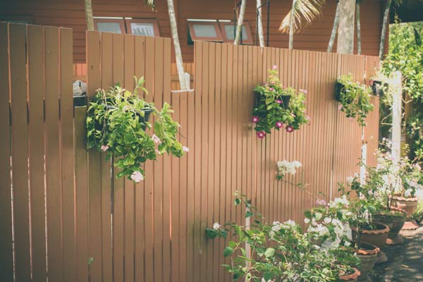 Jardim vertical pode ser instalado em um suporte de madeira (Foto: Shutterstock)