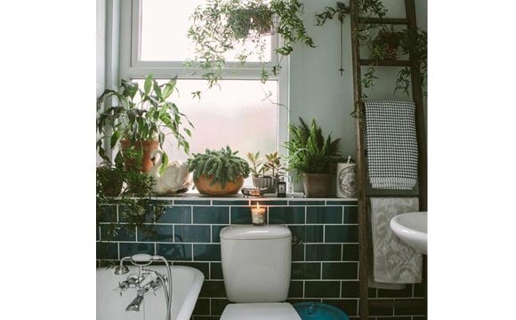 Vasos de plantas no banheiro 