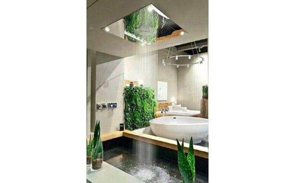 Banheiro com plantas decorativas