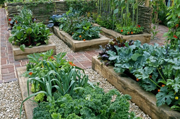 ideias de horta em casa