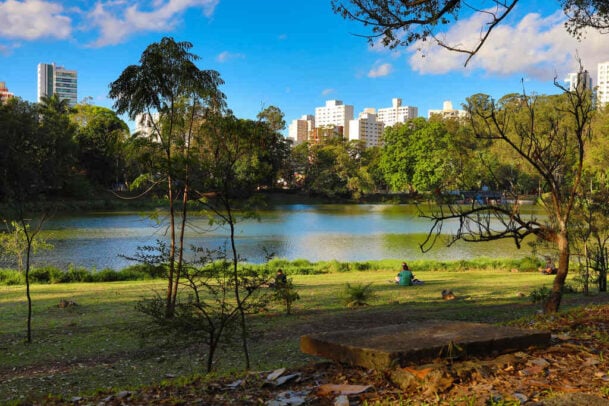 Parque da Aclimação: uma das melhores áreas verdes de SP