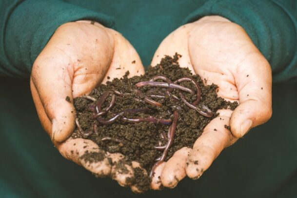 para que serve a compostagem