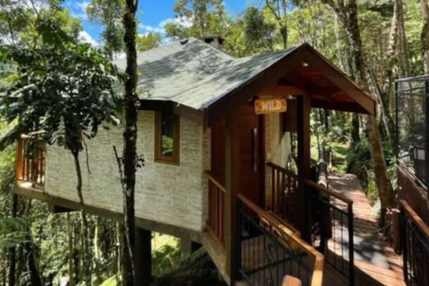 Casa na arvore em uma paisagem de natureza