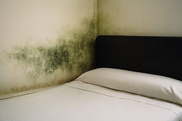 parede branca com mofo verde atrás de uma cama