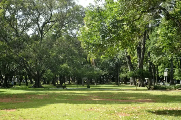 Imagem do Parque Ibirabuera, região com padarias da Vila Nova Conceição que vale a pena visitar.