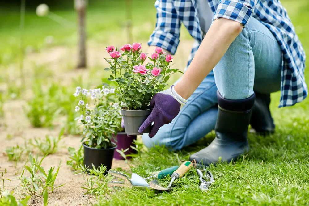 Pessoa plantando flores em área gramada mostra cuidados básicos com plantas para jardim, incluindo preparo do solo, cultivo ornamental e manutenção residencial.