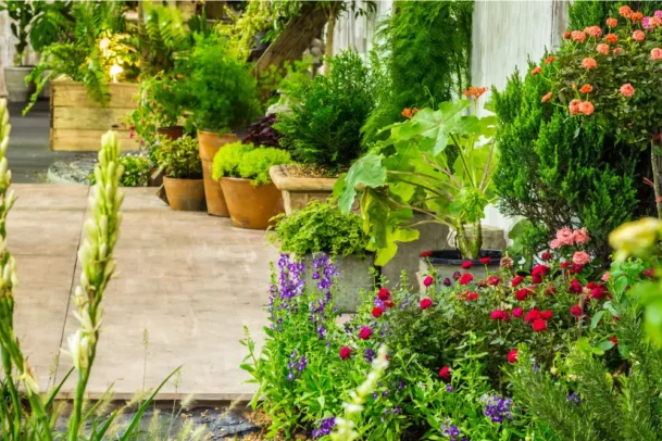 Caminho com flores, arbustos e folhagens variadas destaca diferentes espécies de plantas para jardim em composição paisagística colorida e ornamental.