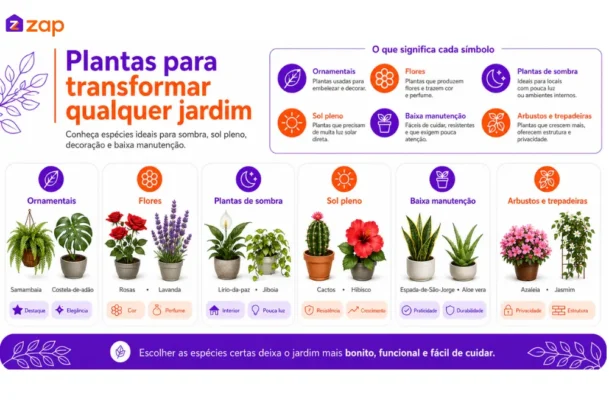 Infográfico sobre plantas para jardim apresenta espécies ideais para sombra, sol pleno, baixa manutenção e decoração em diferentes espaços externos.