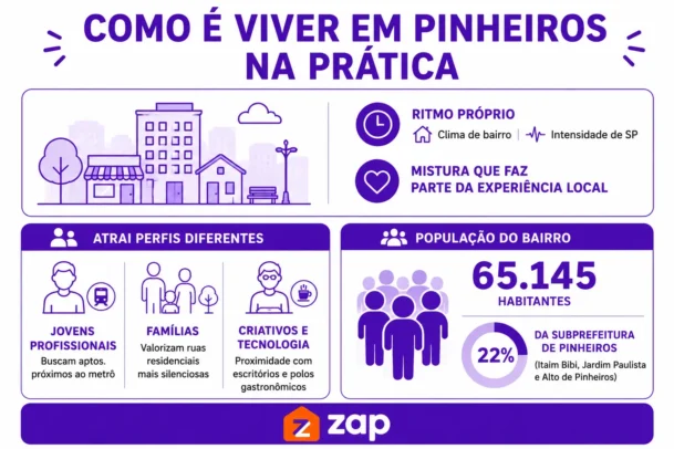 Infográfico com informações gerais sobre Pinheiros.